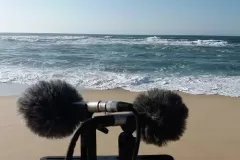 Sound-Effects-Recording-Session-06