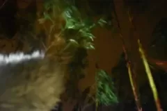 Sound-Effects-Recording-Session-11